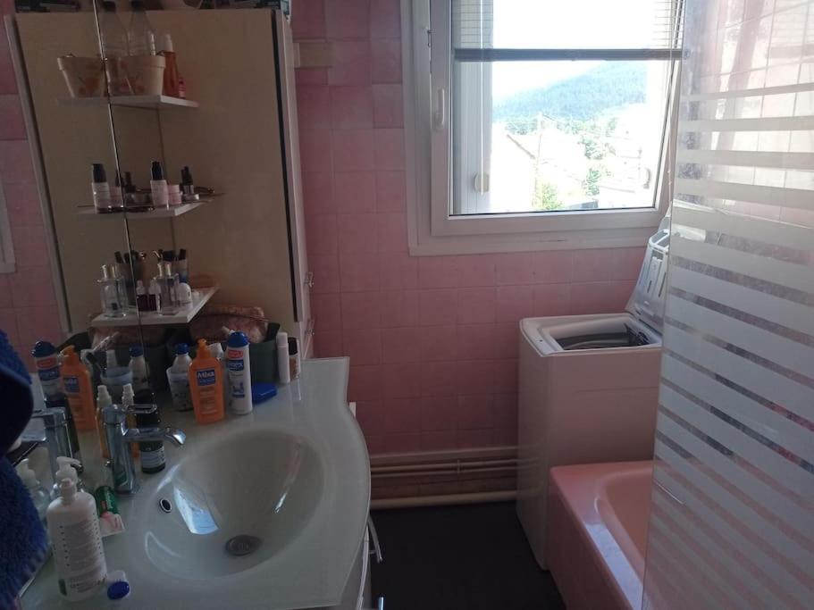 Appartement 83 M2 Renove Remiremont Buitenkant foto